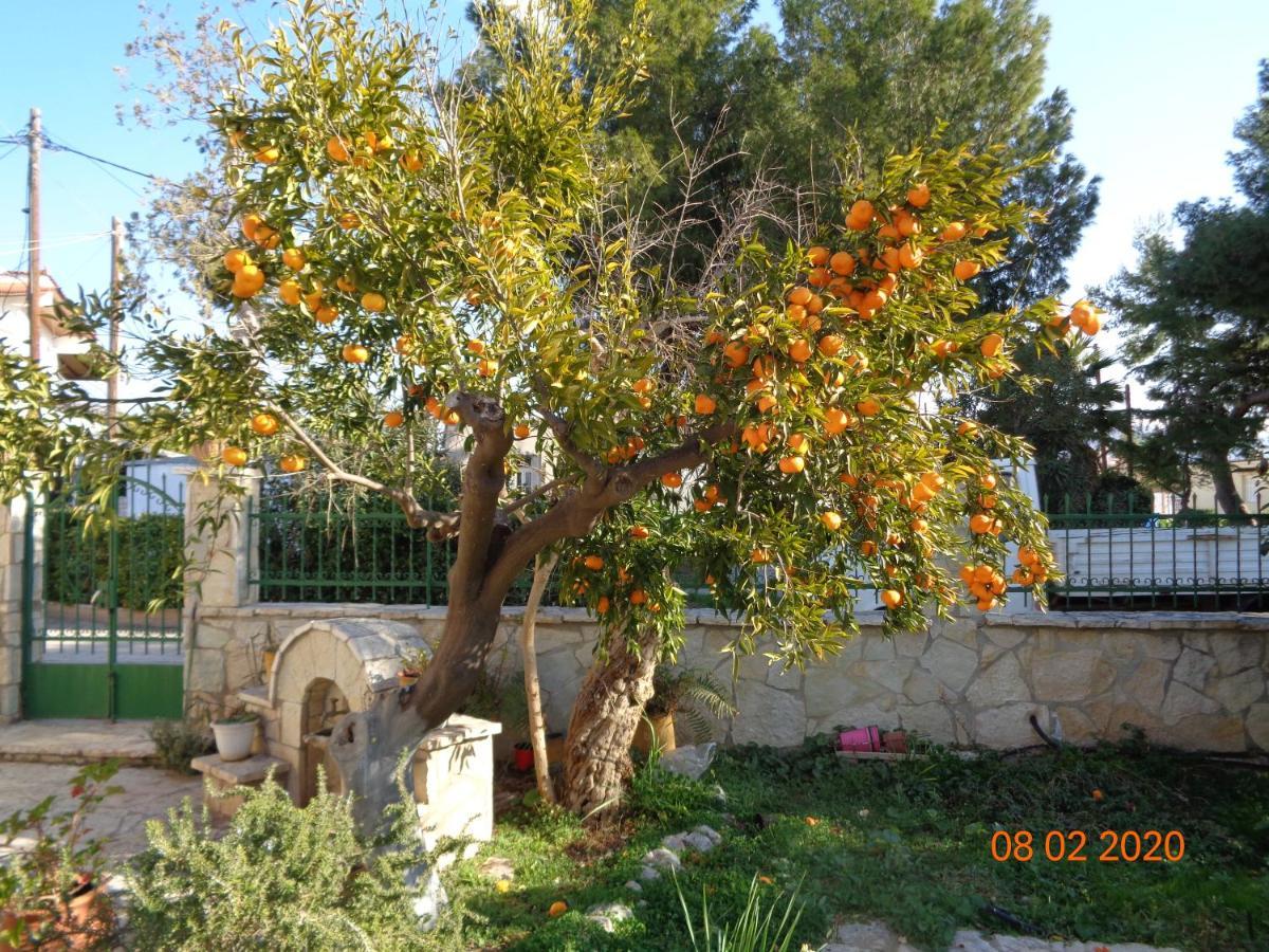 Traditional Guesthouse Asimakis Anifion Exterior photo