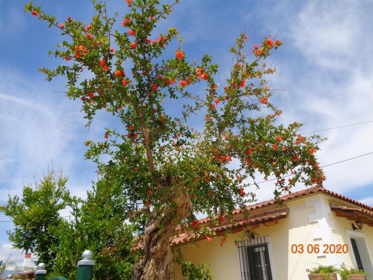 Traditional Guesthouse Asimakis Anifion Exterior photo